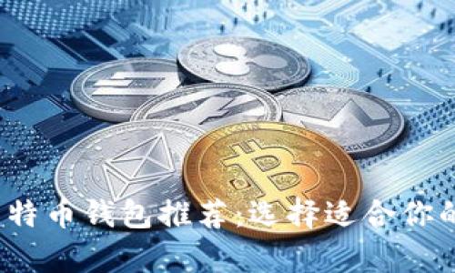 2023年最受欢迎的比特币钱包推荐：选择适合你的比特币存储解决方案