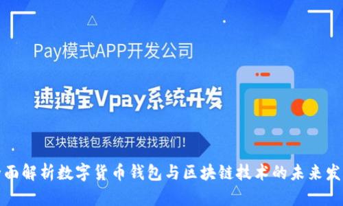 全面解析数字货币钱包与区块链技术的未来发展