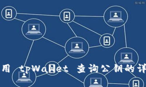 如何使用 tpWallet 查询公钥的详细指南