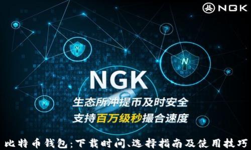 
比特币钱包：下载时间、选择指南及使用技巧