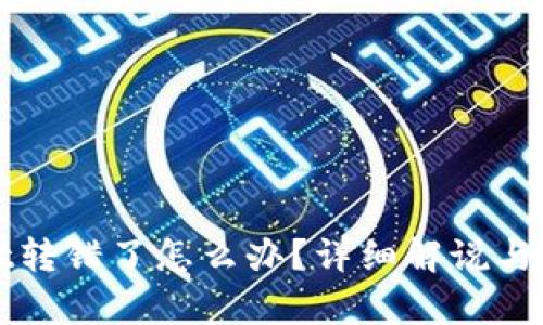tpWallet转错了怎么办？详细解说与解决方案