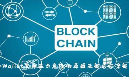 tpWallet里币显示危险的原因及解决方案解析