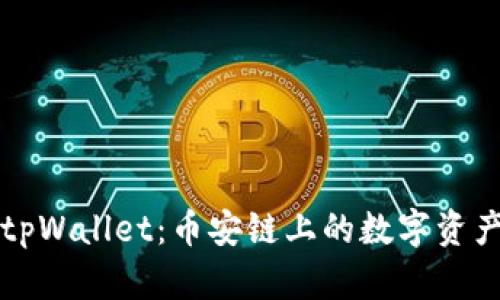 深入了解tpWallet：币安链上的数字资产管理工具