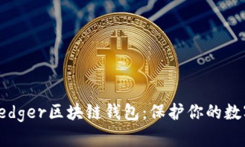 全面解读Ledger区块链钱包：保护你的数字资产安全