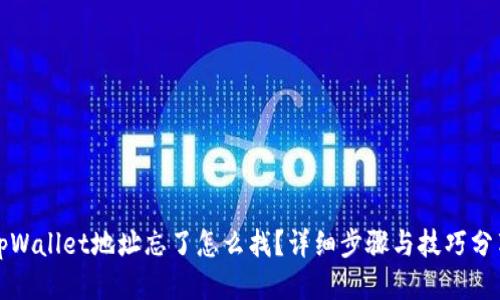 tpWallet地址忘了怎么找？详细步骤与技巧分享