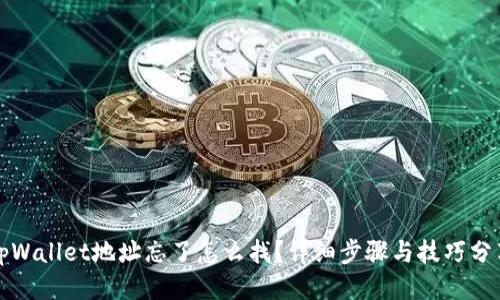 tpWallet地址忘了怎么找？详细步骤与技巧分享