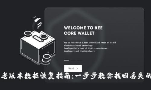 tpWallet老版本数据恢复指南：一步步教你找回丢失的数字资产