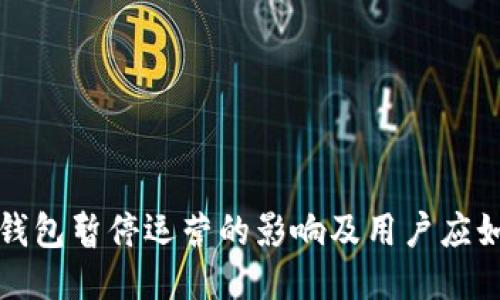 以太坊钱包暂停运营的影响及用户应如何应对
