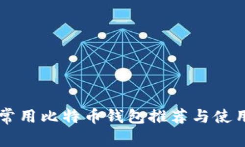 国内常用比特币钱包推荐与使用指南