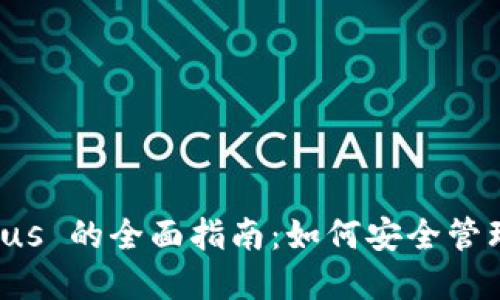 比特币钱包 Plus 的全面指南：如何安全管理您的数字资产