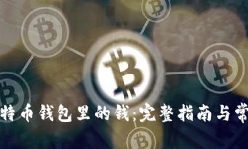 如何找回比特币钱包里的钱：完整指南与常见问题解答