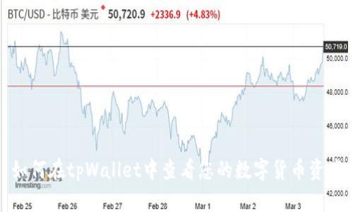 如何在tpWallet中查看您的数字货币资产