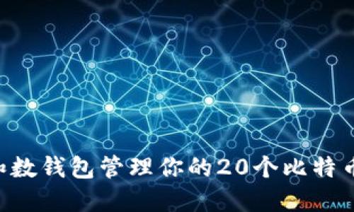 如何使用和数钱包管理你的20个比特币：全面指南
