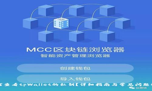 如何查看tpWallet的私钥？详细指南与常见问题解答