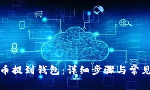 如何将屎币提到钱包：详细步骤与常见问题解答