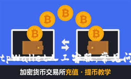 如何有效使用tpWallet人工客服：常见问题与解决方法