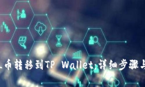 如何将FIL币转移到TP Wallet：详细步骤与注意事项