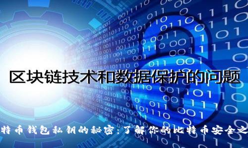 比特币钱包私钥的秘密：了解你的比特币安全之道