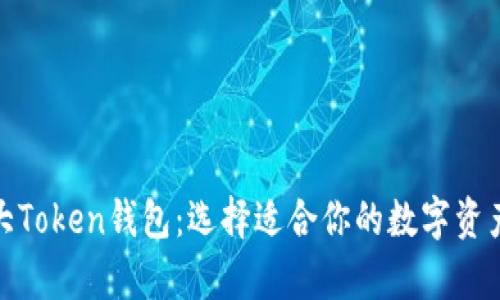 : 探索最大Token钱包：选择适合你的数字资产存储方案