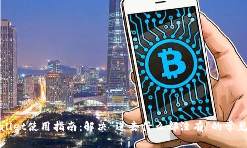 tpWallet使用指南：解决“进去什么都没有”的常见问题