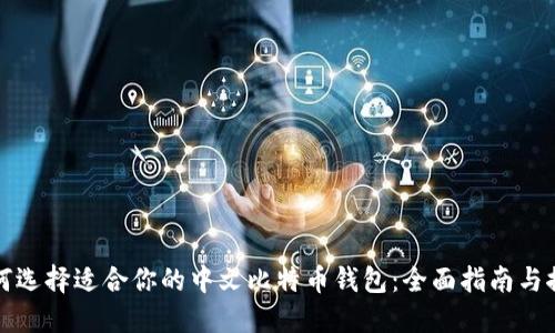 如何选择适合你的中文比特币钱包：全面指南与推荐