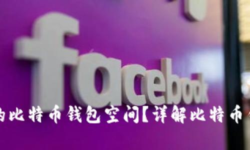 如何选择合适的比特币钱包空间？详解比特币钱包的存储需求
