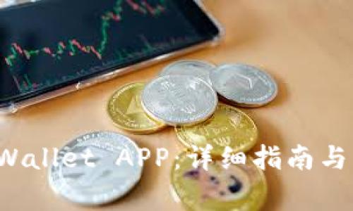 如何搭建TP Wallet APP：详细指南与常见问题解答