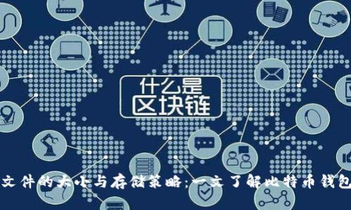 比特币钱包文件的大小与存储策略：一文了解比特币钱包的存储结构