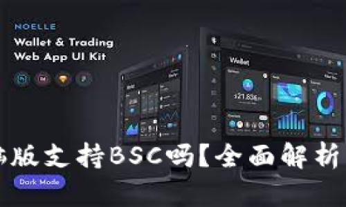 TP钱包电脑版支持BSC吗？全面解析与使用指南