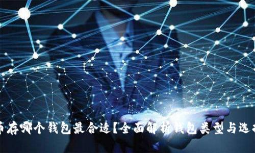 比特币存哪个钱包最合适？全面解析钱包类型与选择指南