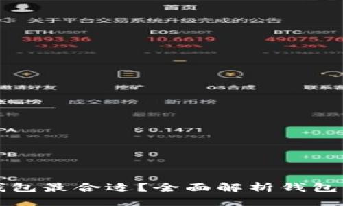 比特币存哪个钱包最合适？全面解析钱包类型与选择指南