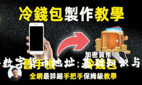 如何获得数字货币地址：基础知识与应用技巧