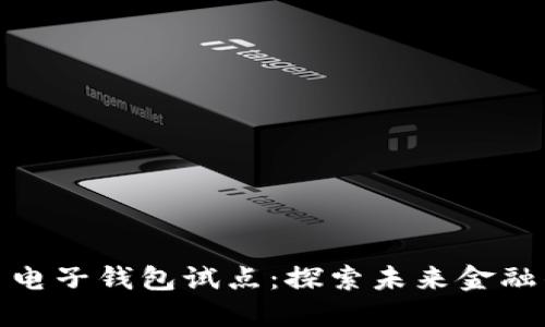 数字货币电子钱包试点：探索未来金融的新路径