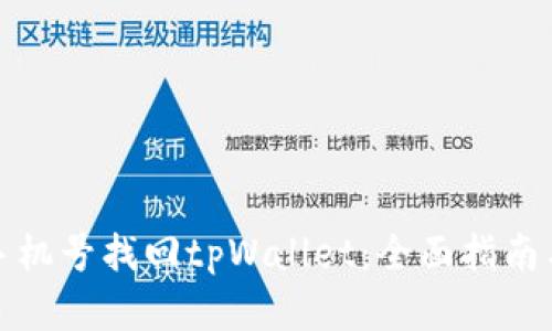如何通过手机号找回tpWallet：全面指南与解决方案