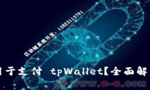 比特币能否用于支付 tpWallet？全面解析与用户指南