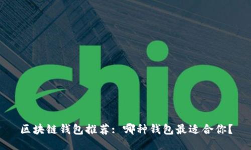 区块链钱包推荐: 哪种钱包最适合你？