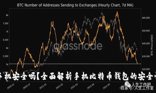 比特币钱包手机安全吗？全面解析手机比特币钱包的安全性与选择指南