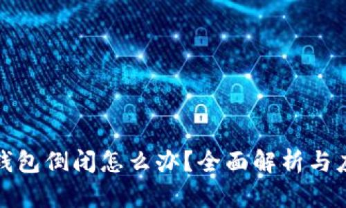 比特币钱包倒闭怎么办？全面解析与应对措施