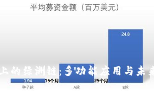 tpWallet上的绿洲链：多功能应用与未来发展解析