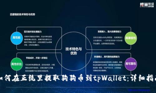 如何在正统里提取狗狗币到tpWallet：详细指南
