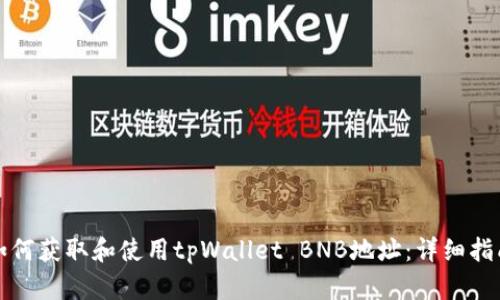 如何获取和使用tpWallet BNB地址：详细指南