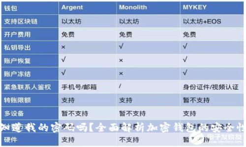 加密钱包会知道我的密码吗？全面解析加密钱包的安全性与隐私问题