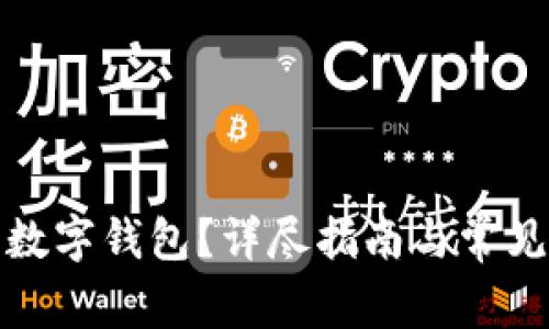 如何建立数字钱包？详尽指南与常见问题解答