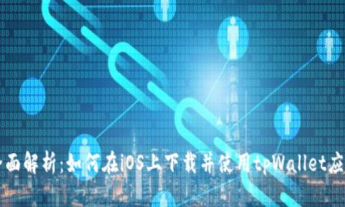全面解析：如何在iOS上下载并使用tpWallet应用