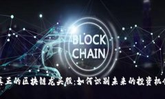 真正的区块链龙头股：如