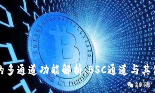tpWallet的多通道功能解析：BSC通道与其他链的比较