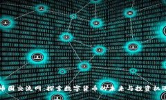 币圈交流网：探索数字货币的未来与投资机遇