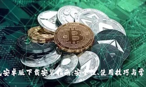 区块链钱包安卓版下载安装指南：安全性、使用技巧与常见问题解答