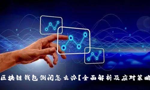区块链钱包倒闭怎么办？全面解析及应对策略