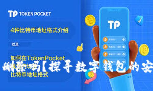 tpWallet记录能删除吗？探寻数字钱包的安全性与隐私保护
